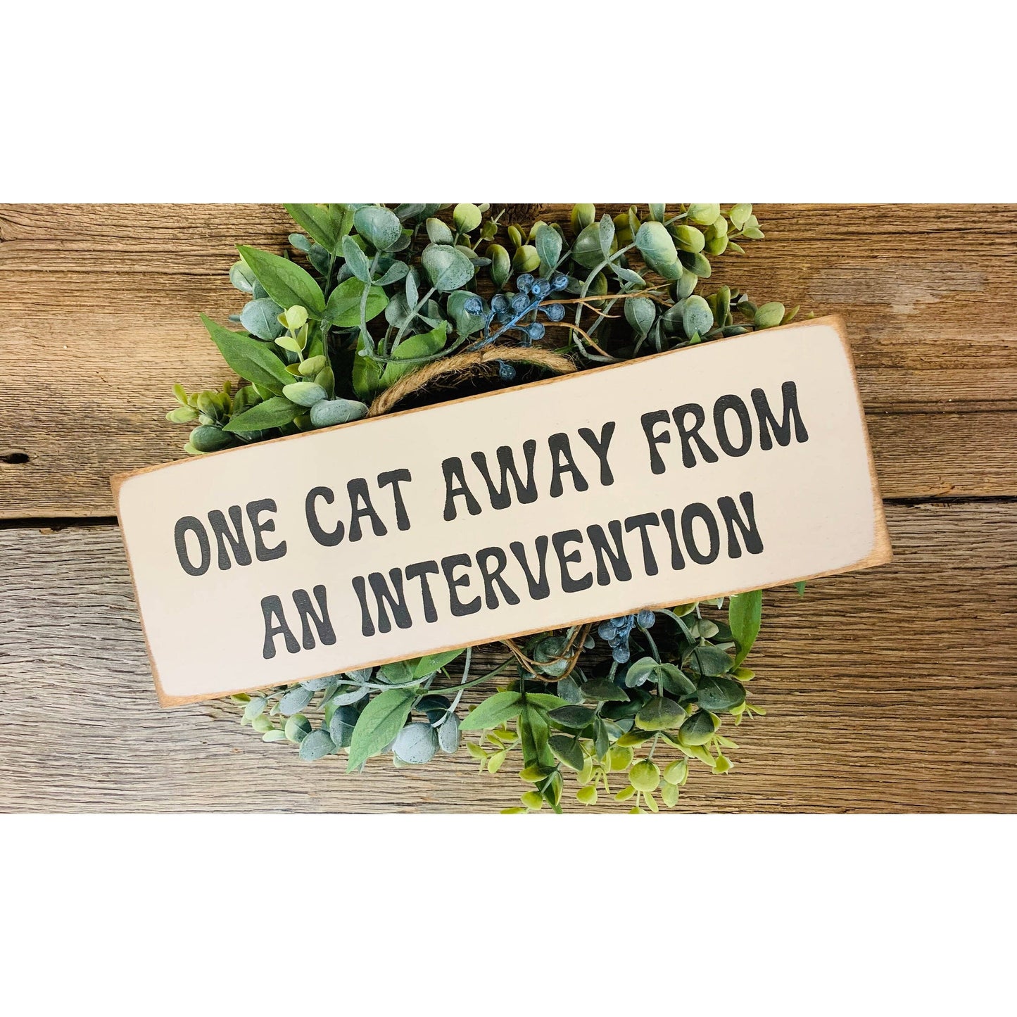 "One Cat Away From an Intervention" Funny Cat Sign