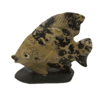 Dalmation Stone Fish Carving