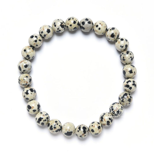 Dalmation Jasper Stone Bracelet